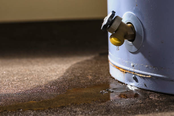 Best Water damage restoration near me  in Cumberland, MD