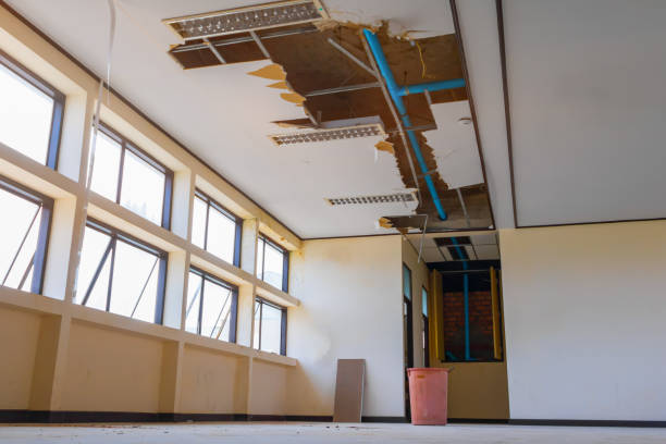 Trusted Cumberland, MD Water damage restoration Experts