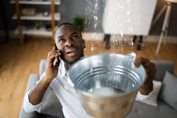 Best Fire Damage Restoration  in Cumberland, MD