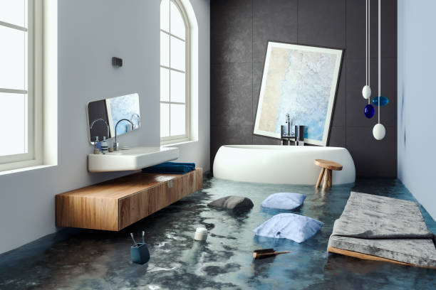 Best Water damage cleanup near me  in Cumberland, MD