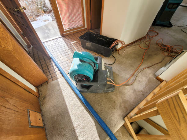 Best Professional water damage repair  in Cumberland, MD