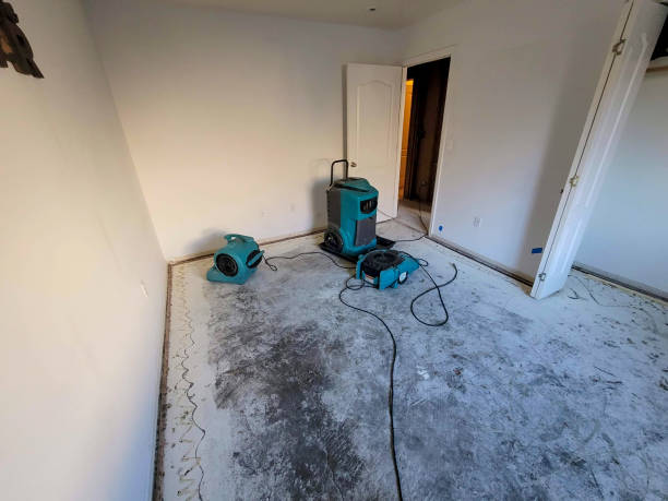Best Carpet water damage restoration  in Cumberland, MD