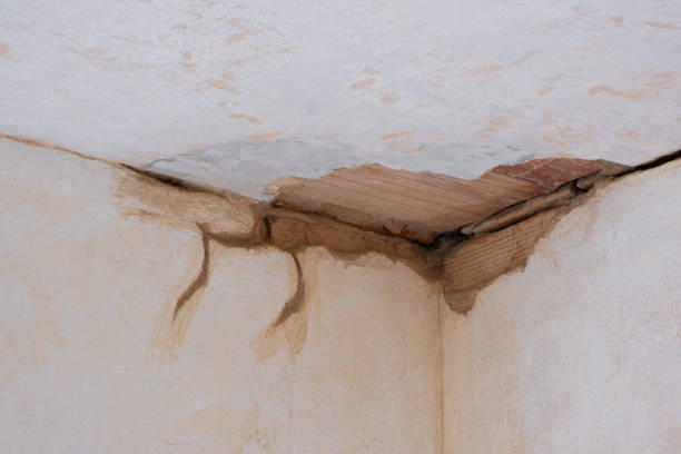 Trusted Cumberland, MD Water damage restoration Experts