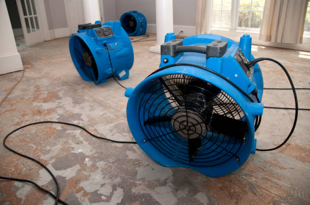 Best Local water damage restoration  in Cumberland, MD