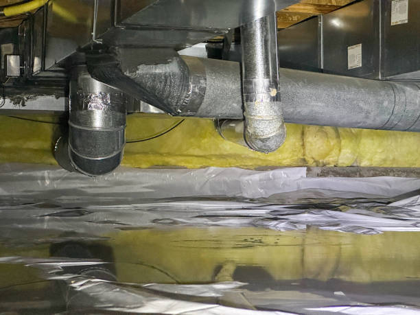 Best Water damage restoration insurance claims  in Cumberland, MD