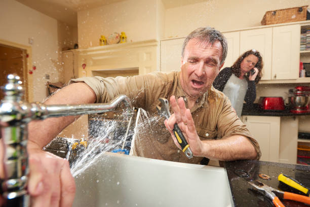 Best Flood damage cleanup  in Cumberland, MD